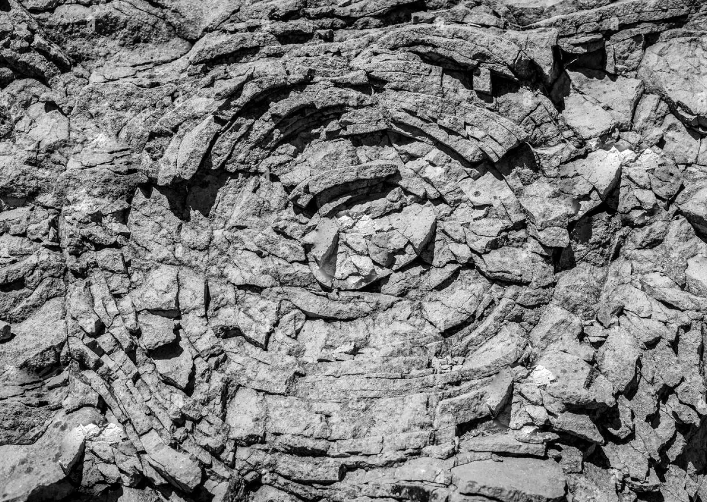 Natuursteen voor buiten wackenier natuursteen Veurne